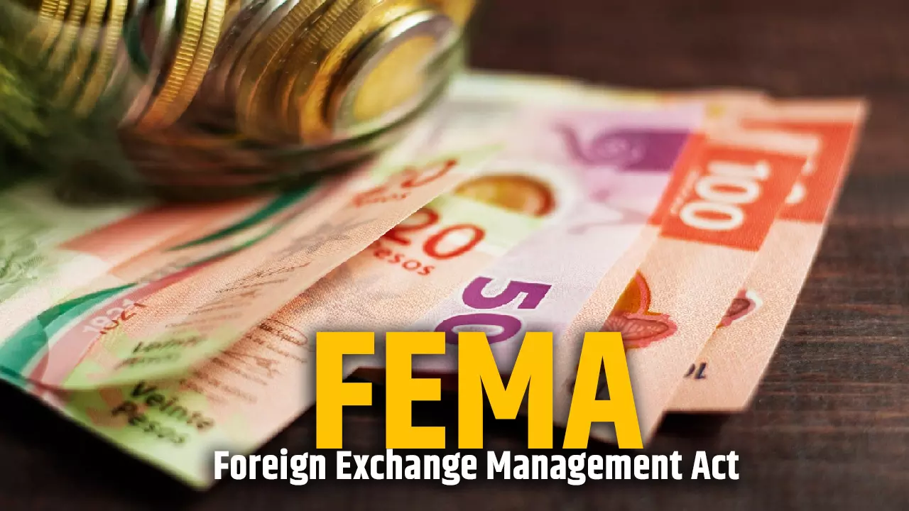 562819-foreign-exchange-management-act-fema.webp